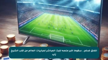 إغلاق ضخم.. سقوط أكبر منصة للبث المباشر لمباريات العالم من قلب الشيخ زايد